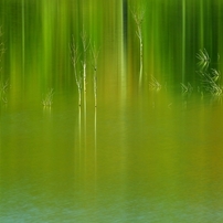 Various green stories