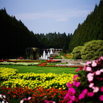 OLD LENS　県立相模原公園　Ⅱ