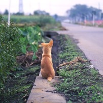 思えば遠くへ来たもんだ