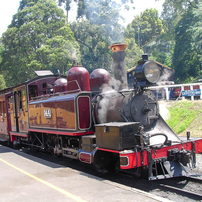 SANYO(サンヨー)のビデオカメラXacti DMX-CG9 で撮影した写真(画像