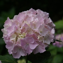 2010年06月