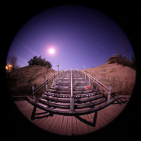 SIGMA シグマ 8mm F4 D EX FISHEYE ニコン Sigma 8mm F4 D EX DG Circular Fisheye Lens | Nikon SLR | f/4