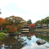 紅葉の日本庭園4