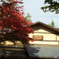 紅葉の日本庭園29