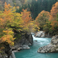 見倉橋の紅葉（津南町）