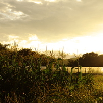 NorthKANTOU_20100812