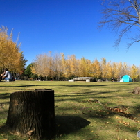 公園の秋 - 芝生広場Ⅱ -