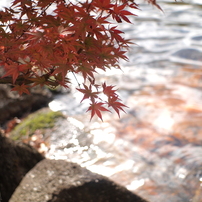 Super-Multi-Coated Takumar 28mm F3.5 その１