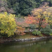 和歌山城の紅葉2017