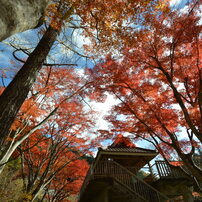 SIGMA(シグマ)のレンズ 10-20mm F4-5.6 EX DC HSM (ｼｸﾞﾏ AF) で撮影