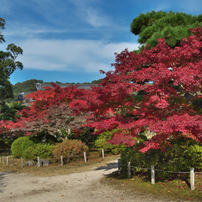 紅葉探索・2017-2