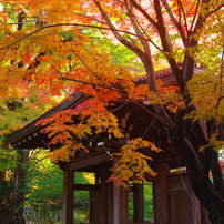 PENTAX(ペンタックス)のレンズ FAズーム20-35mmF4 AL で撮影した