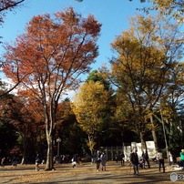 井の頭恩賜公園20