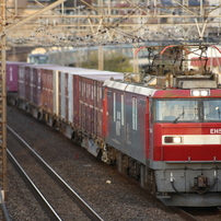 作例付き　TAMRON SP AF 300mm F/2.8 管mpr 作例付き TAMRON SP AF 300mm F/2.8 管mpr Equipment Review