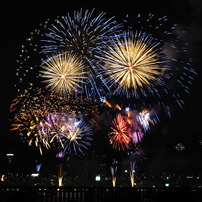 Flowers in the Sky 2010