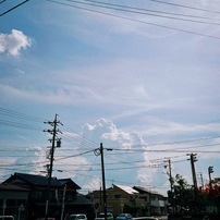 OLYMPUS(オリンパス)のフィルムカメラLT-1 で撮影した写真(画像)一覧