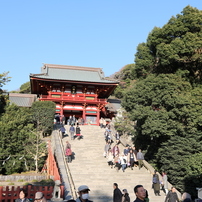 鶴岡八幡宮