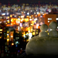 白い恋だるま達