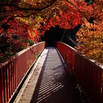 王滝渓谷の紅葉