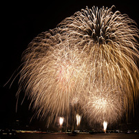 千輪の大花は夜の闇を彩る