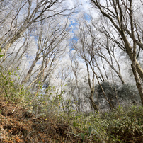 20180104金剛山・妙見谷6of9