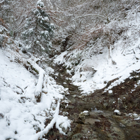 20180107金剛山・モミジ谷4of7