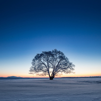 夜明けの写真 画像 写真集 写真共有サイト Photohito