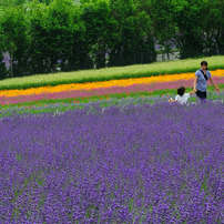 北の国から～2010夏