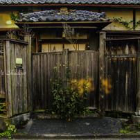 RICOH(リコー)のデジタルカメラCaplio R6 で撮影した写真(画像)一覧