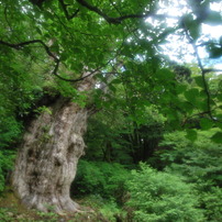 7200年を越えて
