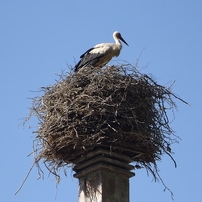 【美品】SONY サイバーショット DSC-W550 ブラック 作例アリ 美品】SONY サイバーショット DSC-W550 ブラック 作例アリ - メルカリ