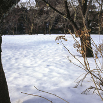 FUJIFILM(富士フイルム)のレンズ EBC FUJINON GX M 80mm 1:5.6 で撮影