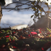 FUJIFILM(富士フイルム)のレンズ EBC FUJINON GX M 80mm 1:5.6 で撮影