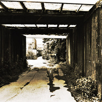 写シンの由来