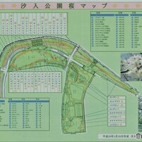 汐入公園、桜マップ