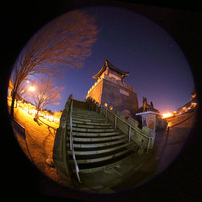 〓ニコン用〓シグマ SIGMA AF 8mm F4 D EX Fisheye 〓ニコン用〓シグマ SIGMA AF 8mm F4 D EX Fisheye 〓ニコン用
