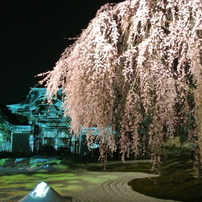 高台寺のプロジェクション・マッピング