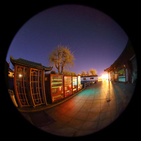 SIGMA(シグマ)のレンズ 8mm F4 EX DG CIRCULAR FISHEYE (ﾆｺﾝ AF