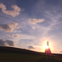 FUJIFILM(富士フイルム)のデジタルカメラFinePix F900EXR で撮影した