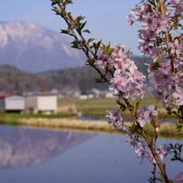 SONY(ソニー)のレンズ Vario-Sonnar T＊ DT 16-80mm F3.5-4.5 ZA