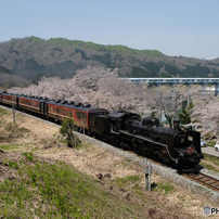 HASSELBLAD(ハッセルブラッド)のレンズ HC 50-110mm F3.5-4.5 で撮影