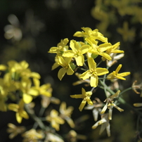 Zoom-NIKKOR 35-70mm F3.5-4.8 その１