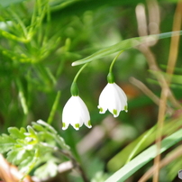 ♥︎◇近くも遠くもOK♪ ◇SIGMA 28-300mm PENTAX ◇美品 ♥︎◇近くも遠くもOK♪ ◇SIGMA 28-300mm PENTAX ◇美品