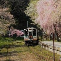 SIGMA(シグマ)のレンズ 18-125mm F3.8-5.6 DC OS HSM (ｷﾔﾉﾝ用