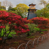 沼田（城址）公園