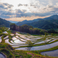 大山千枚田