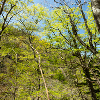 20180429大峰・八経ヶ岳9of10