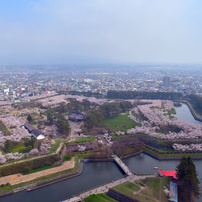 桜前線追っかけ旅行2018