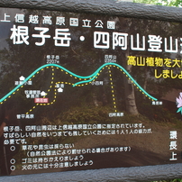 菅平牧場と登山