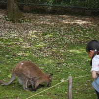 お腹から２